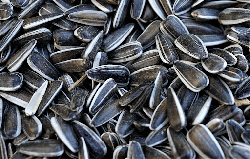 Superfoods for the Brain Sunflower Seeds