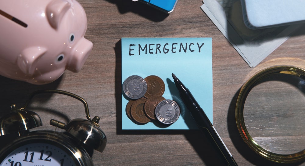 emergency budget
